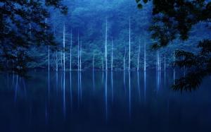 Forest, night, hillside, lake, trees, fog wallpaper thumb