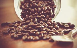 Coffee beans, spoon, still life wallpaper thumb
