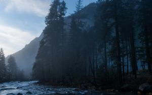 Yosemite Fog Mist Trees Mountain Forest River HD wallpaper thumb