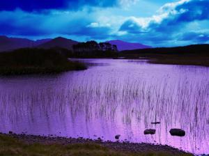 Scenic Lake In Purple wallpaper thumb