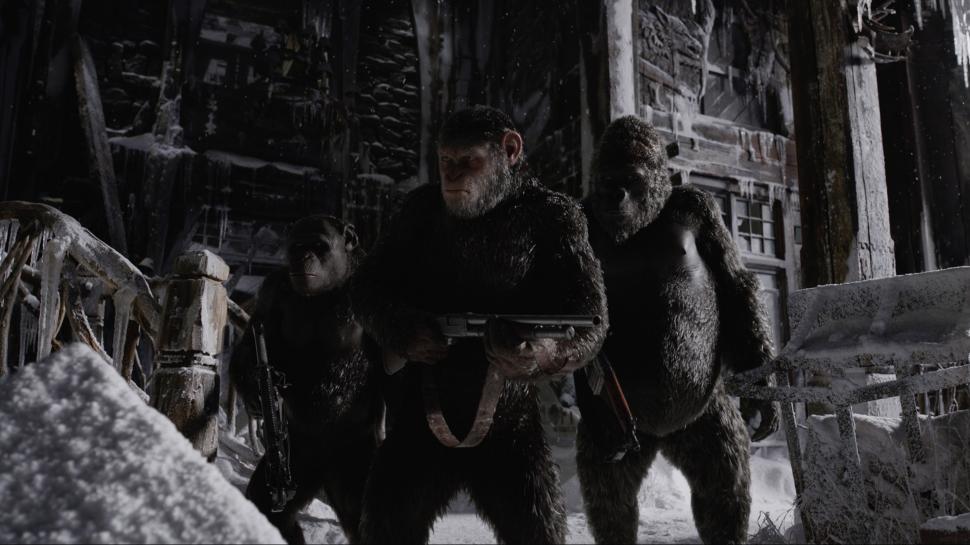 War For The Planet Of The Apes 2017 Movies Stills wallpaper,hollywood HD wallpaper,movies HD wallpaper,Hollywood Movies HD wallpaper,2880x1620 wallpaper