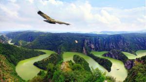 Eagles Flying Over Beautiful Lscape wallpaper thumb