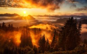 Sky, sunrise, rays, mountains, clouds, trees, fog wallpaper thumb