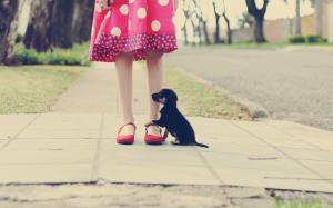 Little girl legs, black puppy wallpaper thumb