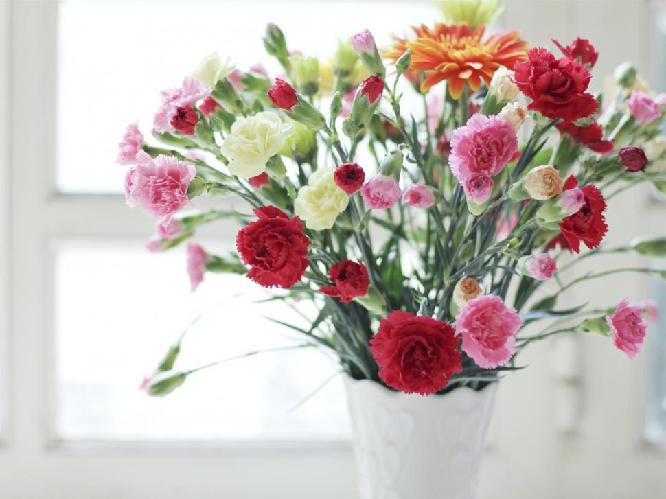 Carnations, pink red and white flowers, vase wallpaper,Carnations HD wallpaper,Pink HD wallpaper,Red HD wallpaper,White HD wallpaper,Flowers HD wallpaper,Vase HD wallpaper,1920x1440 wallpaper