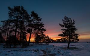 Winter sunset, snow, trees, twilight wallpaper thumb