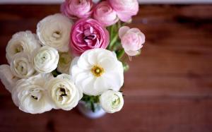 Ranunculus Bouquet Flowers White Pink Petals Vase wallpaper thumb