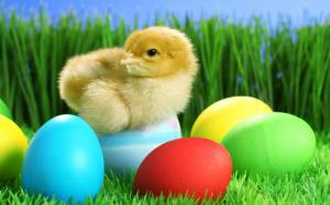 Cute chick and Easter eggs wallpaper thumb