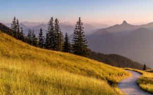Bavaria, Germany, Alps mountain, road, grass, trees wallpaper thumb