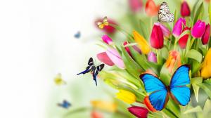 butterfly flowers 1366×768 wallpaper thumb