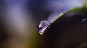 Water Drop Leaf Macro HD wallpaper thumb