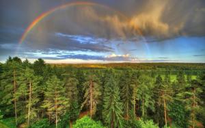 Forest and rainbow wallpaper thumb