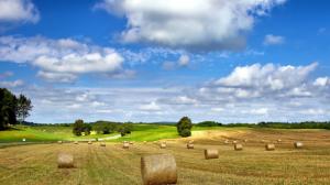 Farm field nature landscape, hay, summer, cloudy sky wallpaper thumb