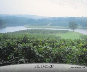 Biltmore Estate Vineyards wallpaper thumb