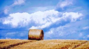 Hay Bail On A Hill Hdr wallpaper thumb