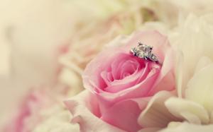 Wedding, Ring, Flowers, Rose, Photography, Depth Of Field wallpaper thumb