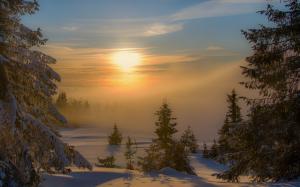 Landscape, Nature, Sunset, Winter, Mist, Forest, Snow, Trees, Cold wallpaper thumb
