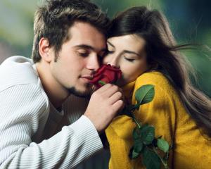 couple, romance, love, roses, hugs wallpaper thumb