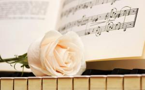 Piano white rose wallpaper thumb