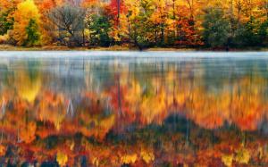 Morning Nature Usa Lake New Hampshire Reflection Autumn Fog Background Pictures wallpaper thumb