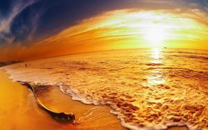 coast, sea, decline, branch, palm tree, sand, beach, panorama, evening, orange wallpaper thumb