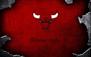 Chicago Bulls Logo wallpaper thumb