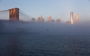 Brooklyn Bridge Bridge Cables New York Buildings Skyscrapers Fog Mist Bird HD wallpaper thumb
