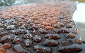 Rain Water Droplets wallpaper thumb