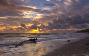 Log Beach Sunset Ocean Clouds HD wallpaper thumb