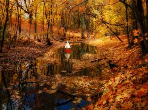 autumn beautiful beauty boat colors fall forest golden leaves lovely nature peaceful Pretty Reflecti HD wallpaper thumb