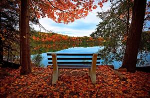 bench, autumn, river, lake, trees wallpaper thumb