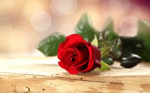 Red rose flower, wooden table, bokeh wallpaper thumb