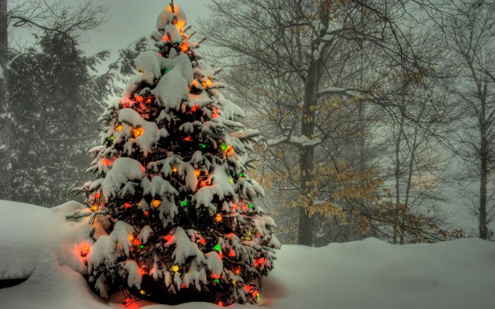 Snow Christmas Tree wallpaper,tree HD wallpaper,snow HD wallpaper,christmas HD wallpaper,holidays HD wallpaper,2560x1600 wallpaper
