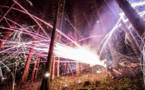 Sparks Timelapse Fireworks Trees Night HD wallpaper thumb