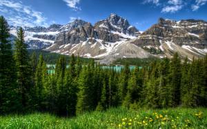 Canada, nature landscape, mountains, forest, Banff Park wallpaper thumb