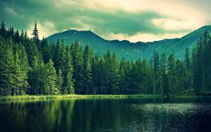 mountains, summer, lake, trees, forest wallpaper thumb