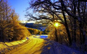 Winter morning, snow, trees, road, sunrise wallpaper thumb