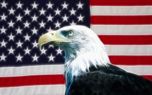 American Eagle wallpaper thumb