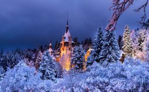 Romania, Sinaia, Peles castle, winter, trees, snow, night, lights wallpaper thumb