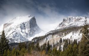 Hallett Peak, mountains, winter, snow, trees wallpaper thumb