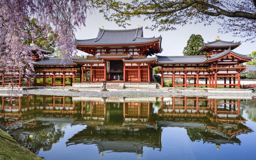 Byodo-In Temple, Japan, pond, reflection, spring, cherry wallpaper,Temple HD wallpaper,Japan HD wallpaper,Pond HD wallpaper,Reflection HD wallpaper,Spring HD wallpaper,Cherry HD wallpaper,2560x1600 wallpaper